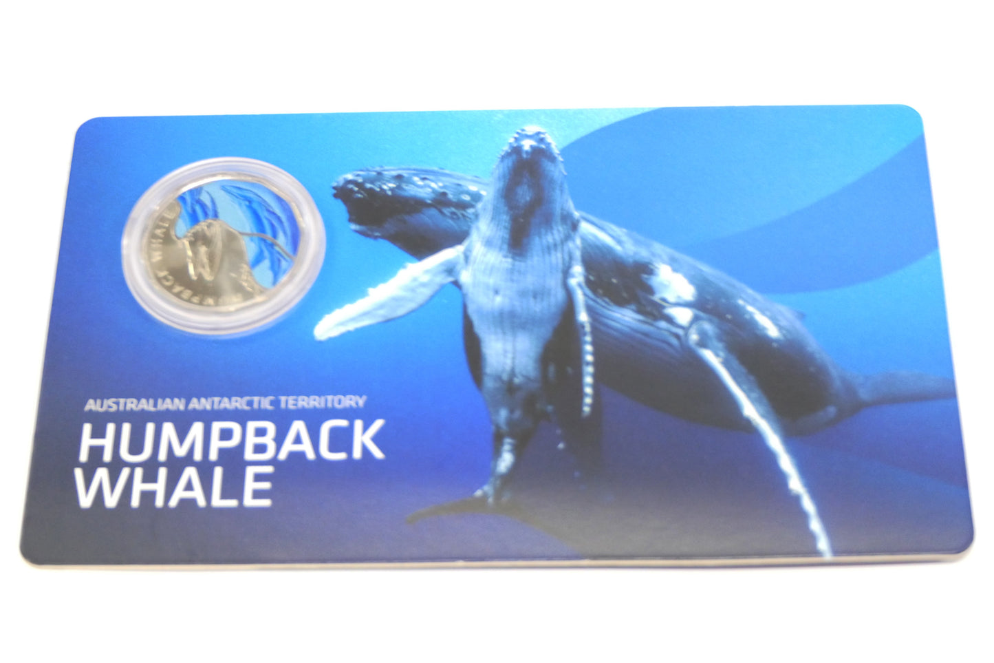 50c 2023 Humpback Whale ~ UNC Coloured RAM Coin Australian Antartic Territory front
