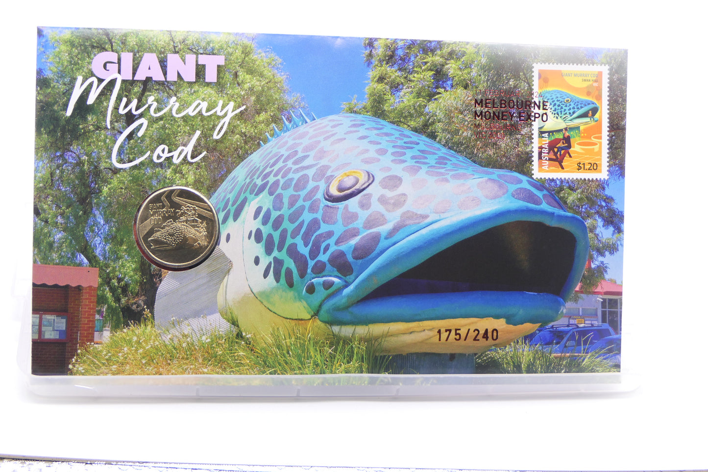Giant Murray Cod PNC — Melbourne Money Expo — 175/240 front