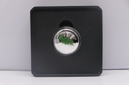 Beauty, Rich & Rare — Daintree Rainforest — $5 Coloured Silver Proof Coin — 1 Oz Fine Silver — Royal Australian Mint image 3
