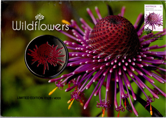 2019 Australia Post Australian Wildflowers PNC — Dryandra — Coloured Medallion + $1 Stamp — Limited Edition 0328/4000 front