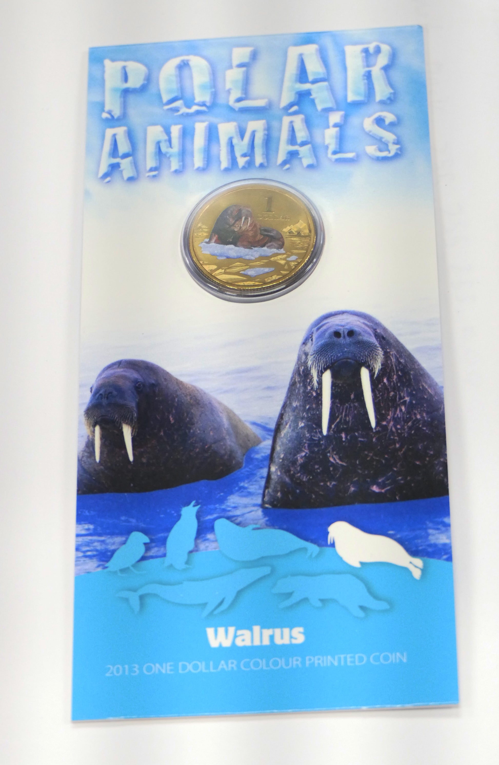 2013 $1 Polar Series — Walrus front