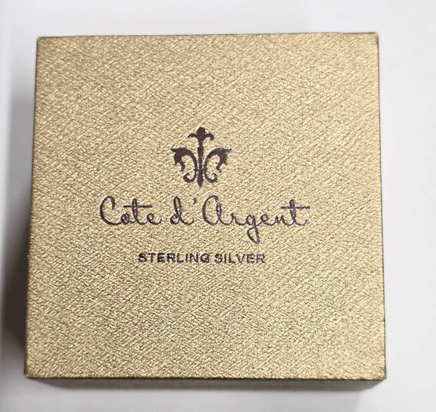 Cate d'Aligent Silver Earings