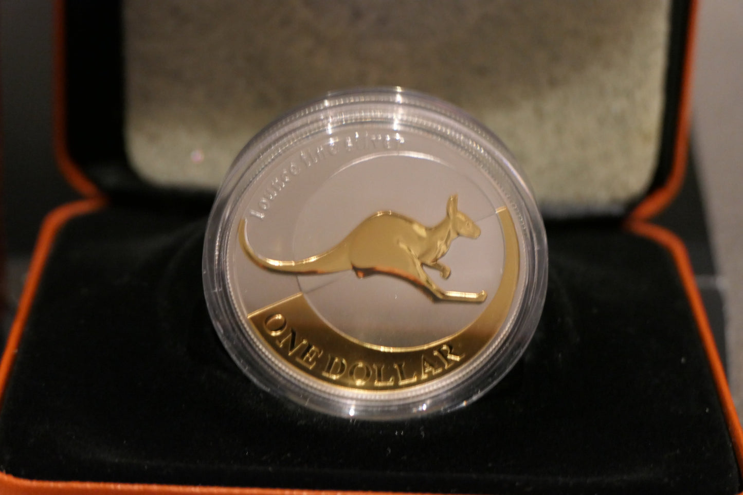 2004 $1 Selectively Gold Plated Fine Silver Kangaroo Coin — Royal Australian Mint — 1oz Fine Silver reverse