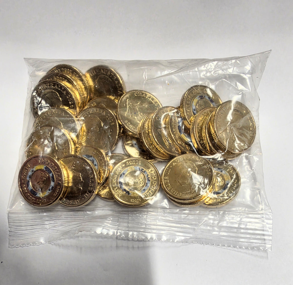 2026 Bluey and Bingo coin bag of 25 coins
